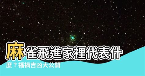 麻雀飛進家裡代表什麼|【家裡飛進麻雀】家裡飛進麻雀的吉凶預兆：小心謹慎，福禍難測。